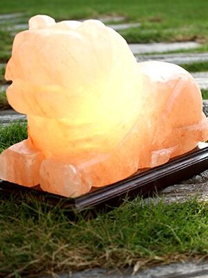 Lion Shaped Lamp