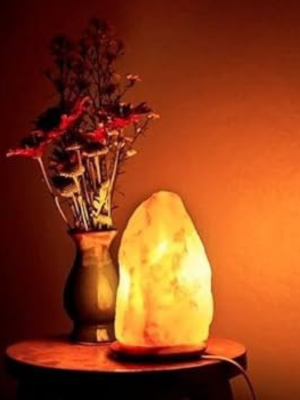 Asad Trader | Leading Himalayan Salt Manufacturer & Exporter
